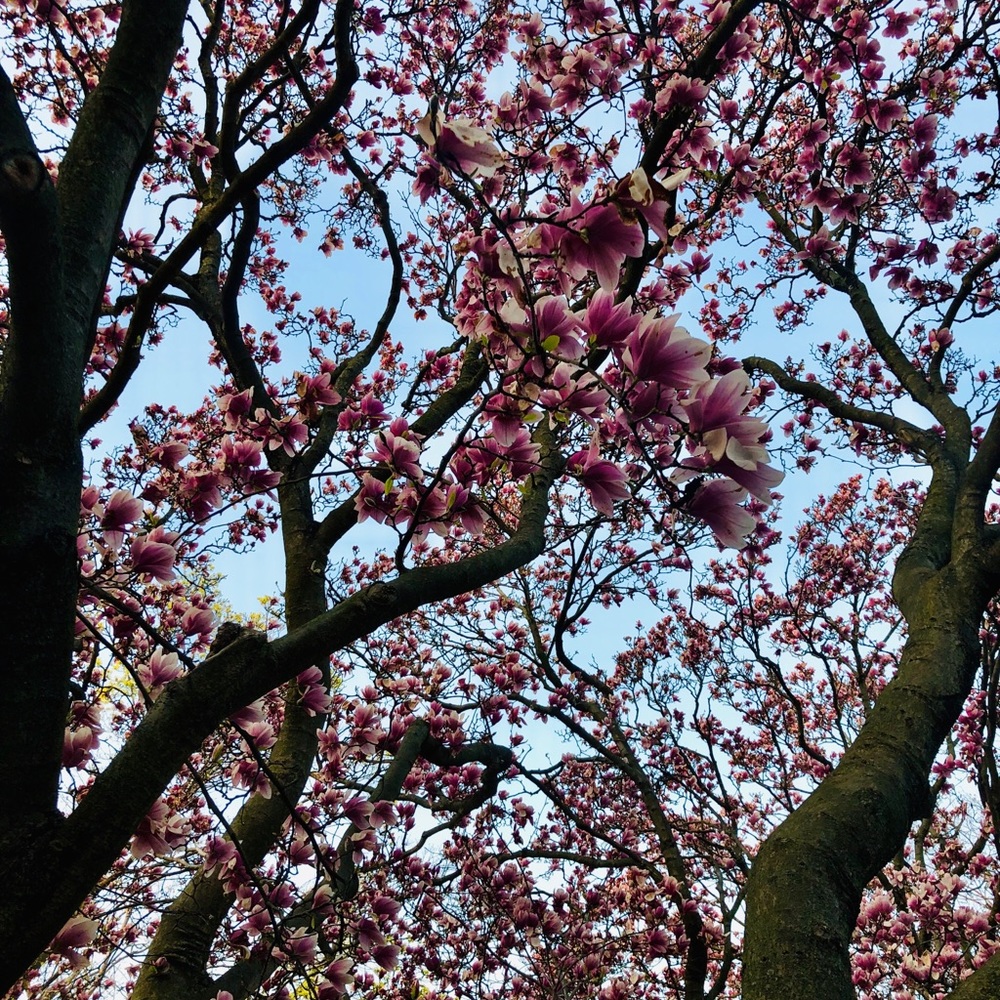 Meet your Posher, Jesse